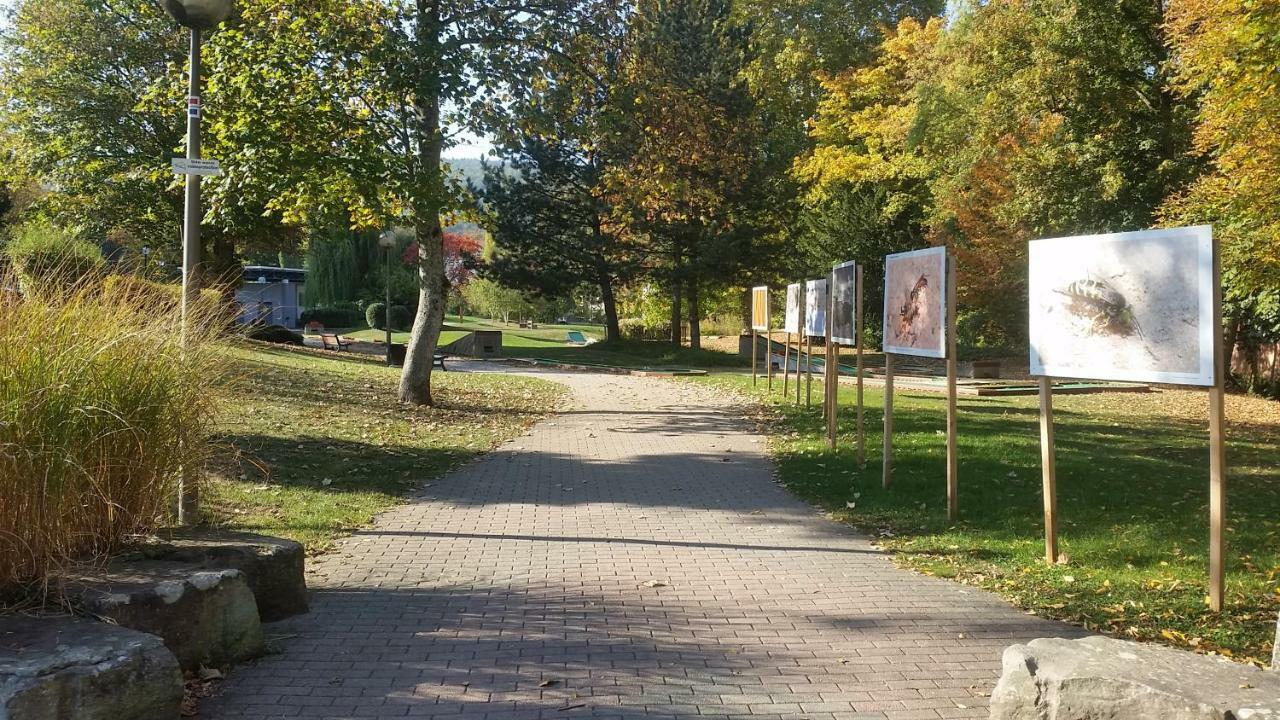 Meubles Du 25 N2 F2 Rdc Niederbronn-les-Bains Exterior foto